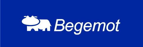 Поступление декалей от Begemot