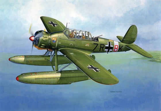 2675K Italeri Самолёт Arado Ar 196A (Смола Quickboost в наборе) 1/48