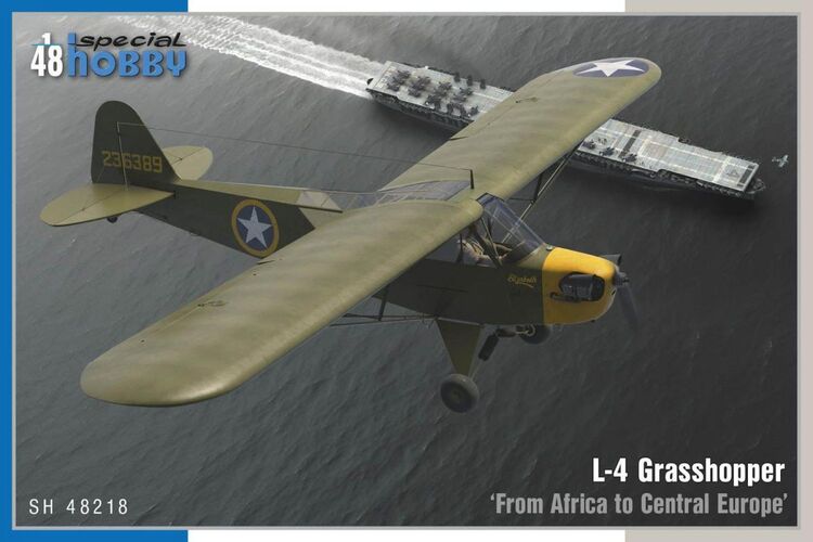 48218 Special Hobby Самолет L-4 Grasshopper ‘From Africa to Central Europe’ 1/48