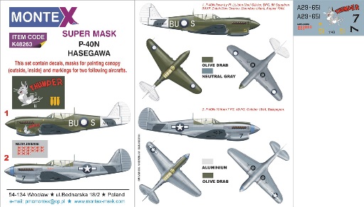 K48263 Montex  Super Mask P-40N (HASEGAWA) 1/48