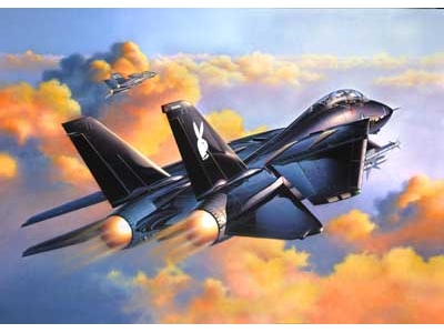 Сборная модель 04514 Revell Американский самолёт "F-14A Black Tomcat" 